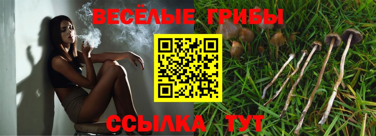 Галлюциногенные грибы Psilocybine cubensis  где купить наркотик  Бутурлиновка  Вход с VPN  Псилоцибиновые грибы ЛСД 
