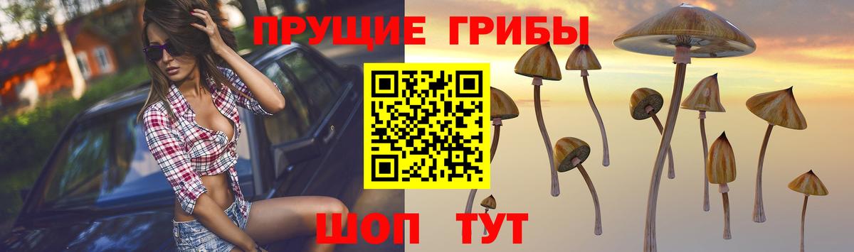Галлюциногенные грибы мицелий Бутурлиновка